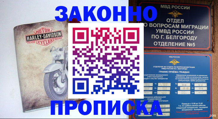 прописка для школы в Трубчевске